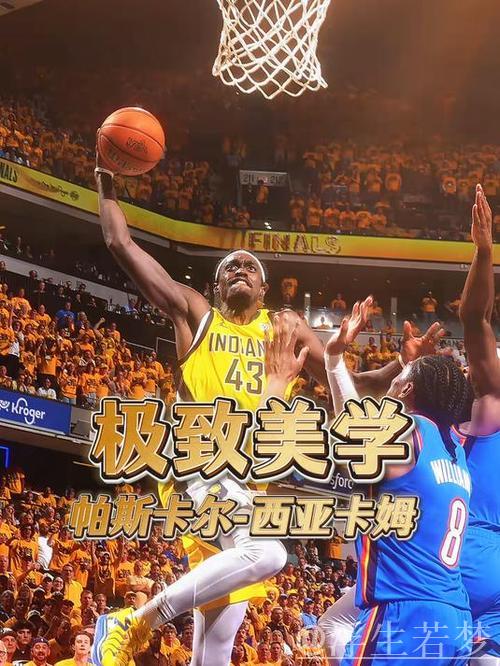 西亚卡姆一对一制胜跳投战胜亚历山大