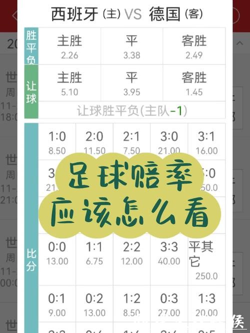 揭秘世界杯盘口赔率走势与投注技巧